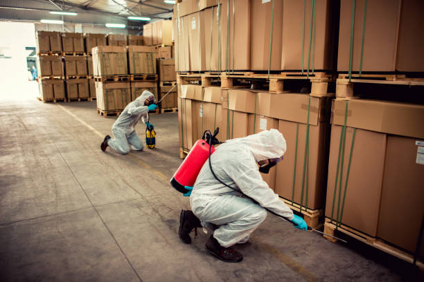 Best Cockroach Control Services  in Bernice, LA