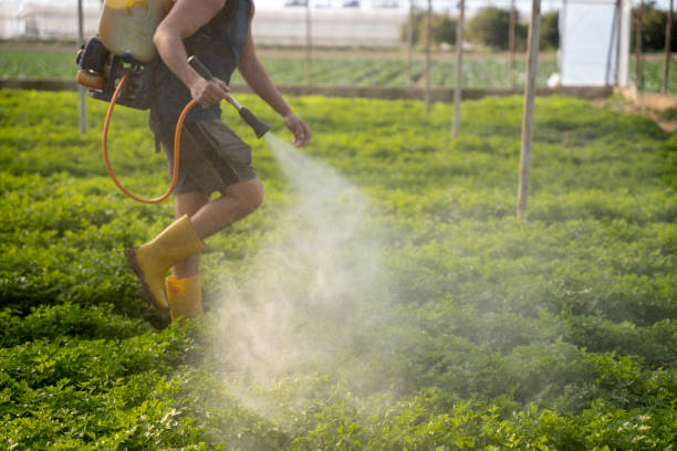 Pest Control for Restaurants in Bernice, LA