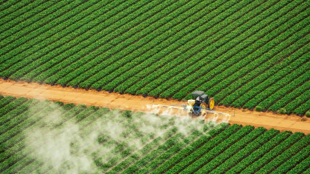 Best Pest Control Near Me  in Bernice, LA