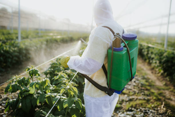 Best Mosquito Control Services  in Bernice, LA